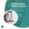 Депутаты Госдумы одобрили поправки в Закон о госконтроле